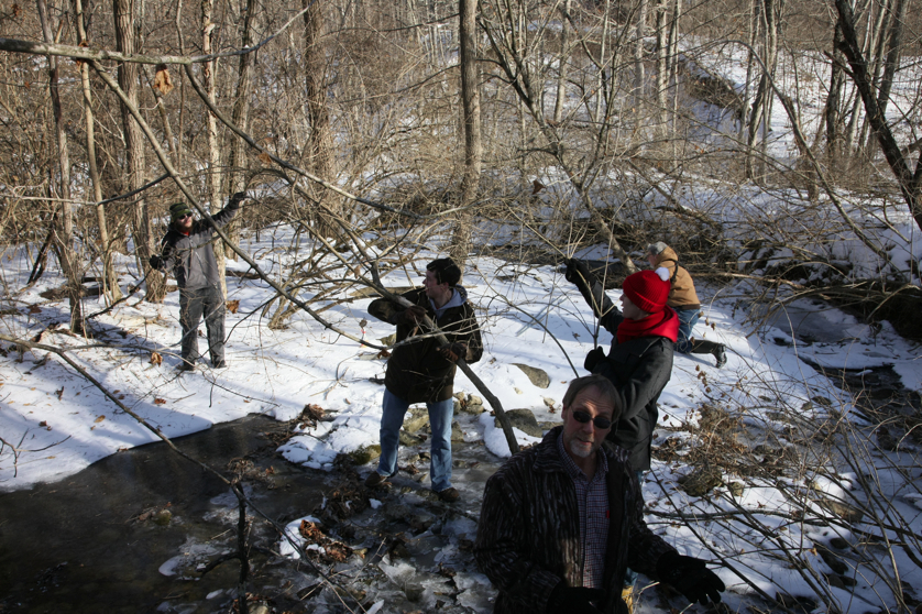 Full Size Image = 6217 K