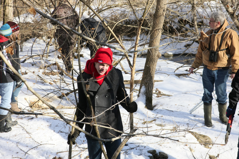 Full Size Image = 4562 K