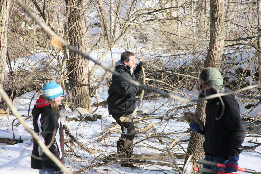 Full Size Image = 5769 K