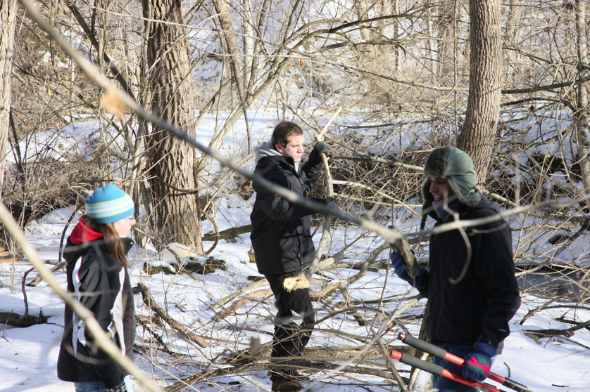 Full Size Image = 6265 K