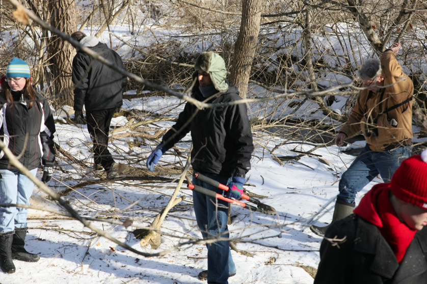 Full Size Image = 5143 K