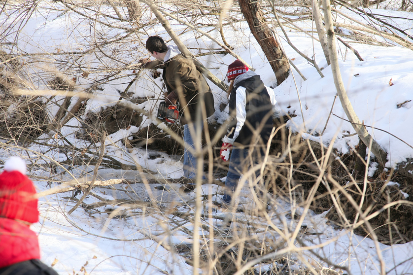 Full Size Image = 5585 K