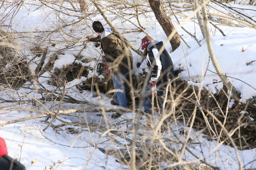 Full Size Image = 5607 K