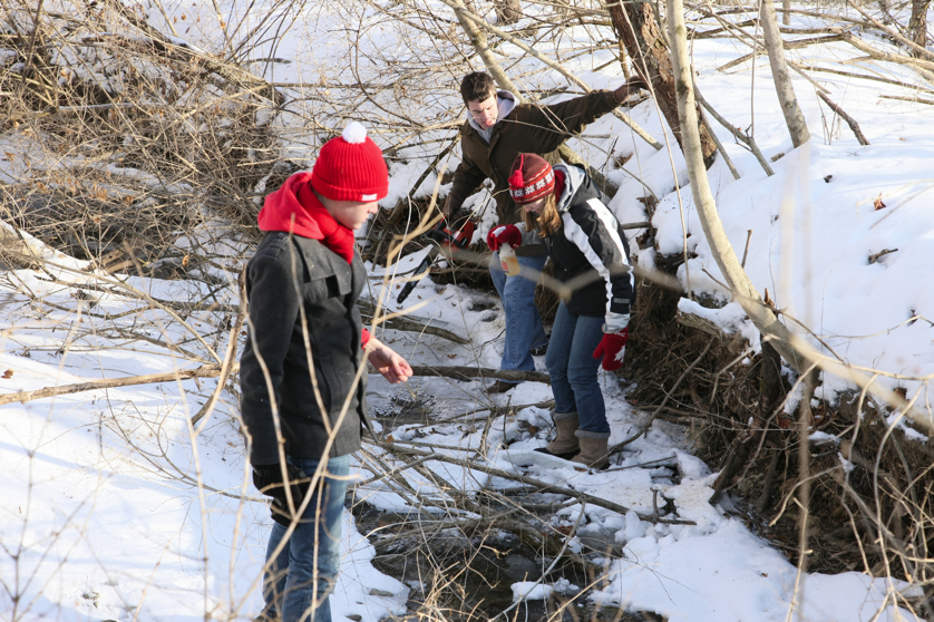 Full Size Image = 5587 K