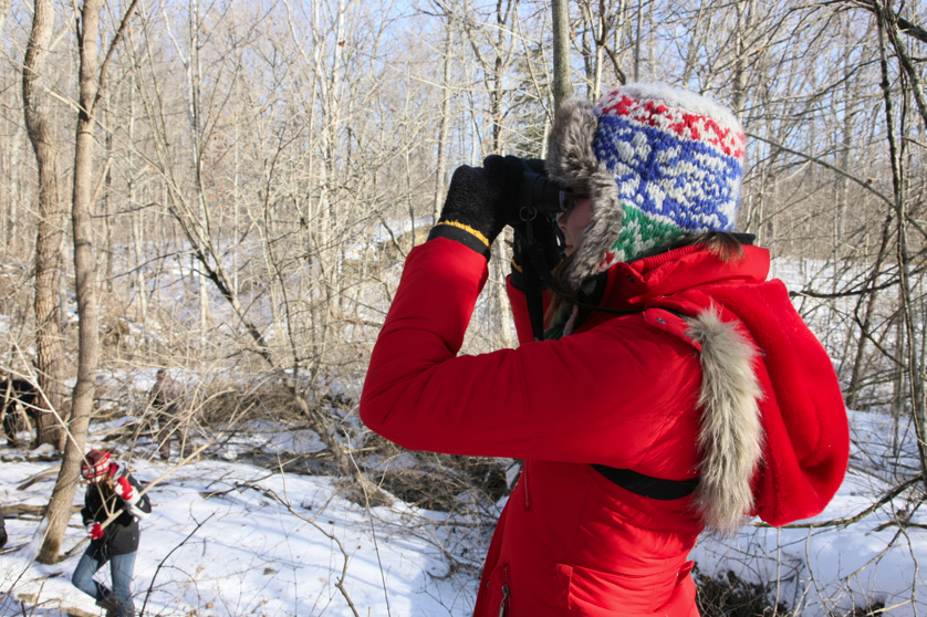 Full Size Image = 4860 K