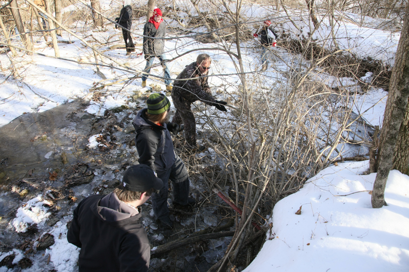 Full Size Image = 6239 K