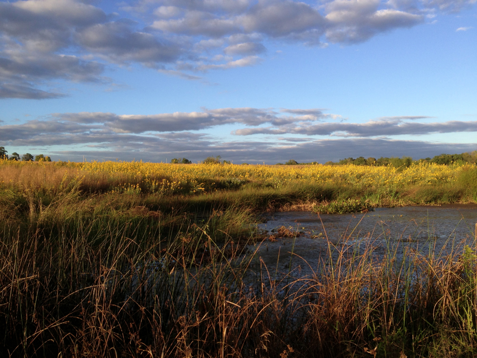 Full Size Image = 6574 K