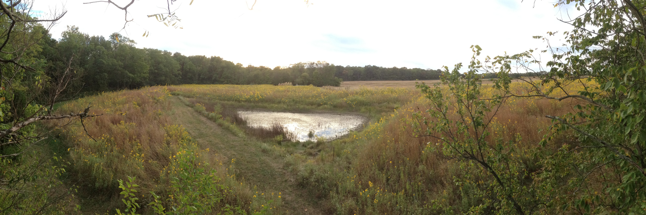 Full Size Image = 12364 K