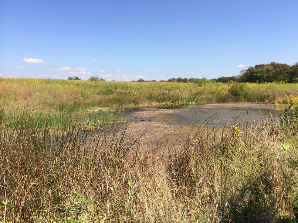 Full Size Image = 7607 K