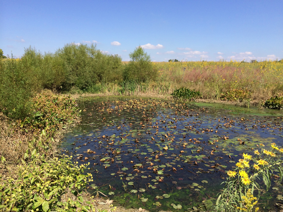 Full Size Image = 7564 K