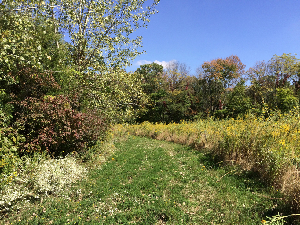 Full Size Image = 9181 K