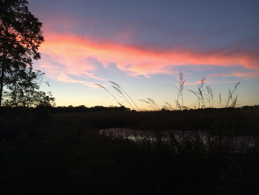 Full Size Image = 3712 K