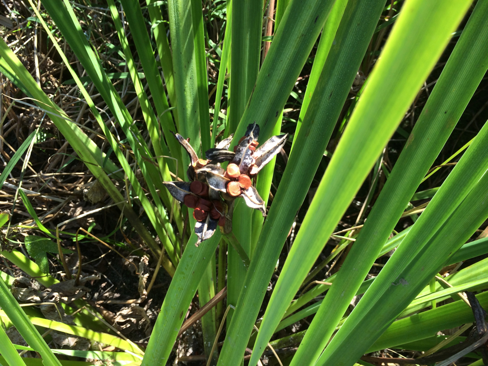 Full Size Image = 5556 K