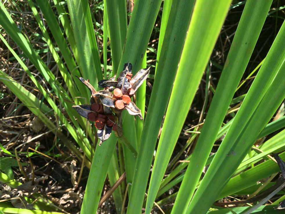 Full Size Image = 5180 K