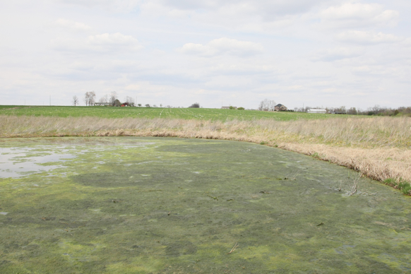 Full Size Image = 2090 K