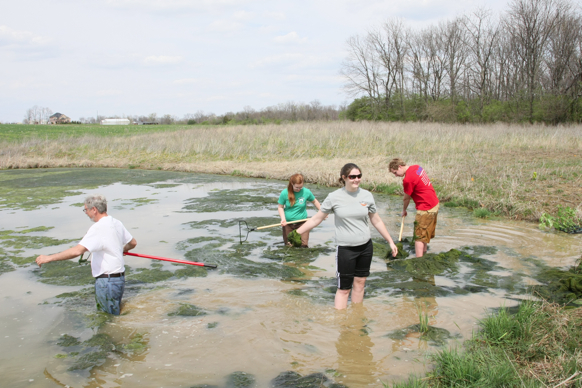 Full Size Image = 2476 K