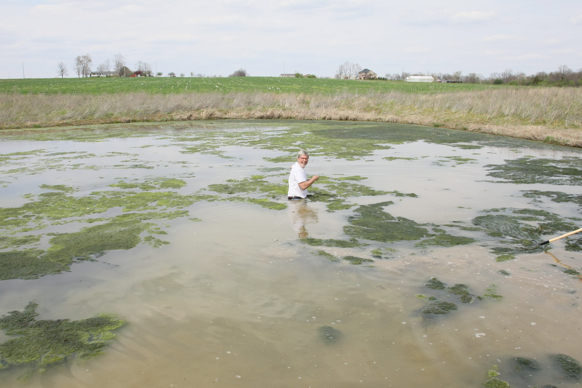 Full Size Image = 1908 K