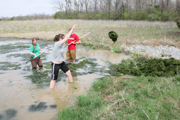 Full Size Image = 2730 K