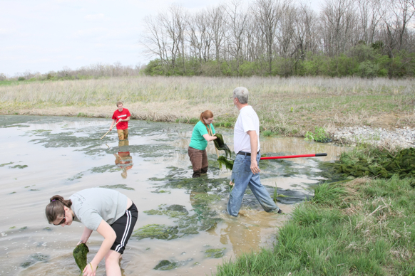 Full Size Image = 2786 K