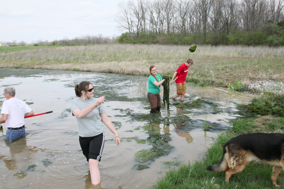 Full Size Image = 2545 K