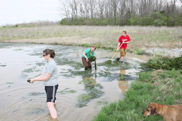 Full Size Image = 2767 K