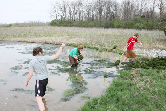 Full Size Image = 2796 K