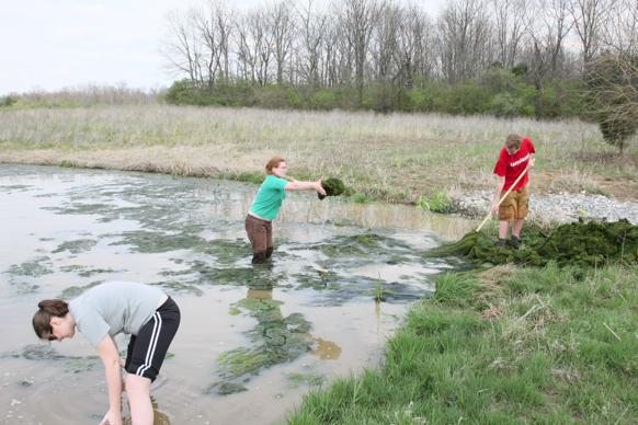 Full Size Image = 2903 K