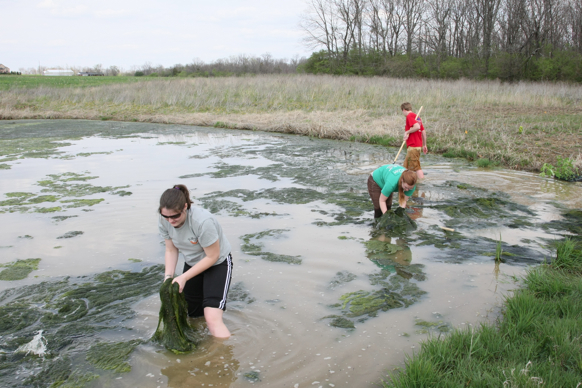 Full Size Image = 2504 K