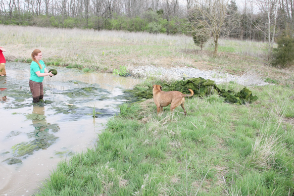 Full Size Image = 3315 K