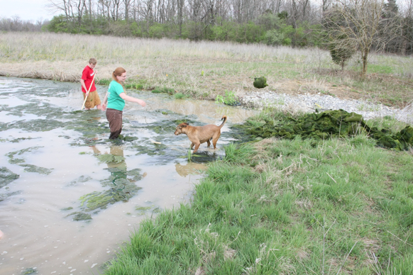 Full Size Image = 3031 K