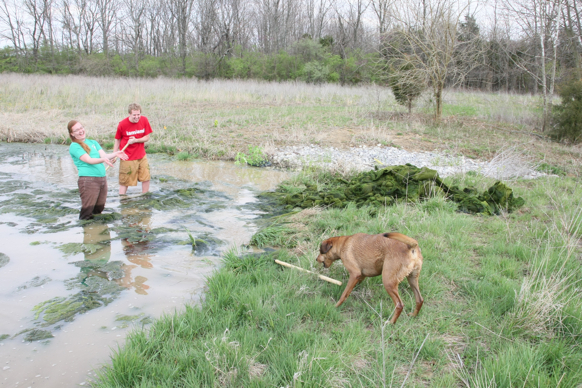 Full Size Image = 3241 K