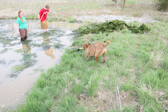 Full Size Image = 3398 K