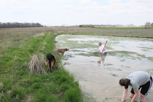 Full Size Image = 2321 K