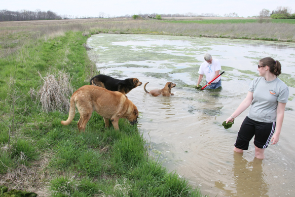 Full Size Image = 2691 K