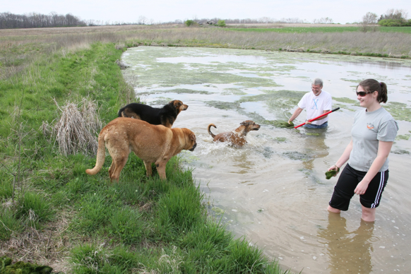 Full Size Image = 2706 K