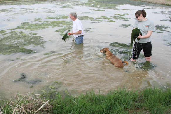 Full Size Image = 2483 K