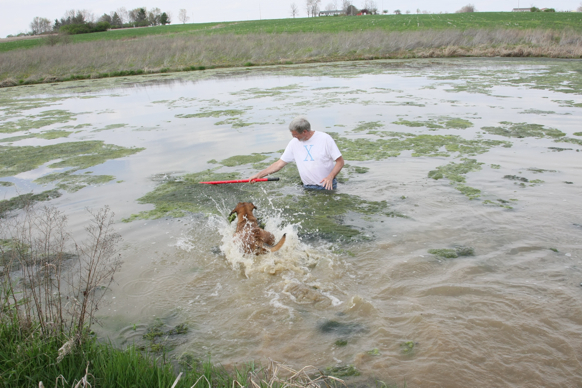 Full Size Image = 2435 K