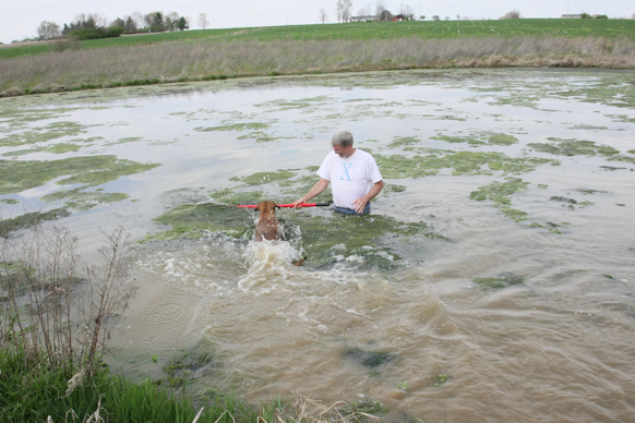 Full Size Image = 2374 K