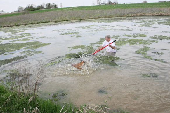 Full Size Image = 2407 K