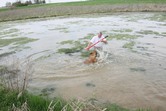 Full Size Image = 2483 K