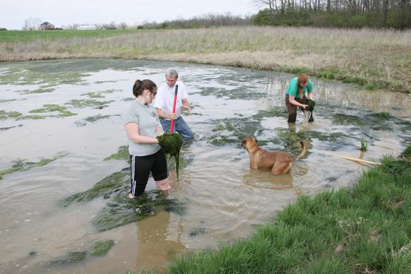 Full Size Image = 2465 K