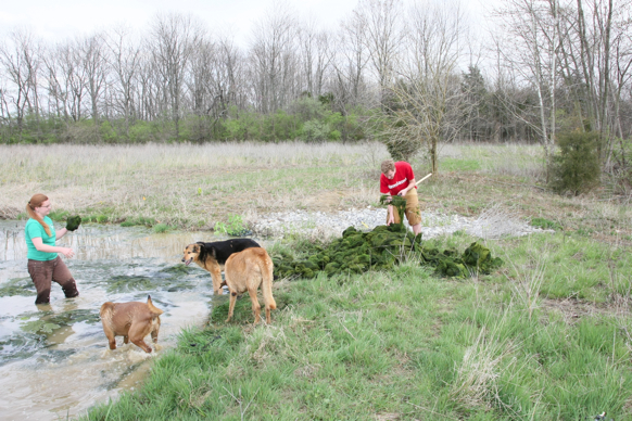 Full Size Image = 3432 K