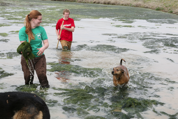 Full Size Image = 2390 K