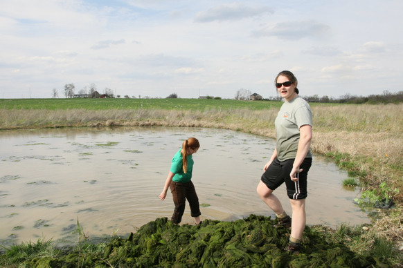 Full Size Image = 2011 K