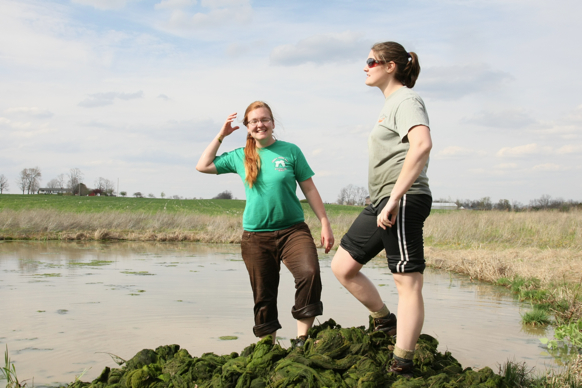 Full Size Image = 1810 K