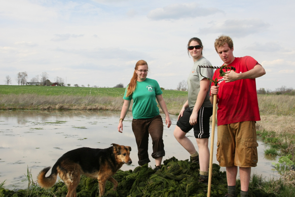 Full Size Image = 1878 K