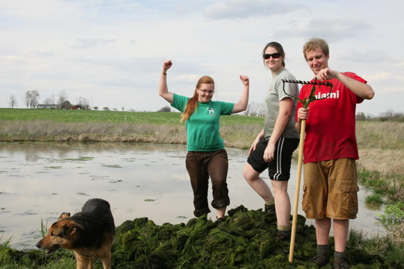 Full Size Image = 1914 K