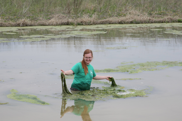 Full Size Image = 1549 K