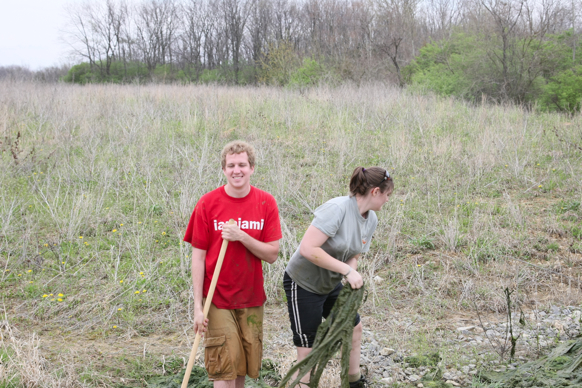 Full Size Image = 3015 K