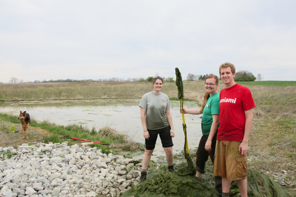 Full Size Image = 1941 K